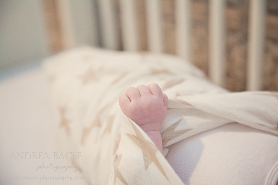15andrea bacle photography newborns 2015