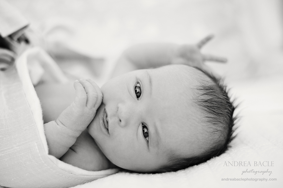 18andrea bacle photography newborns3