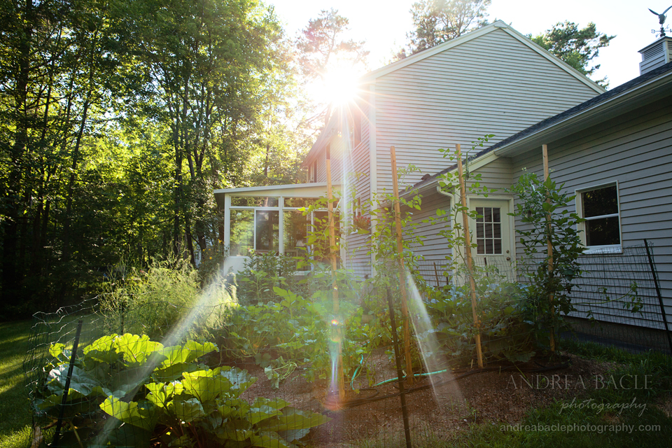 maine-blog-post-lifestyle-at-home-garden