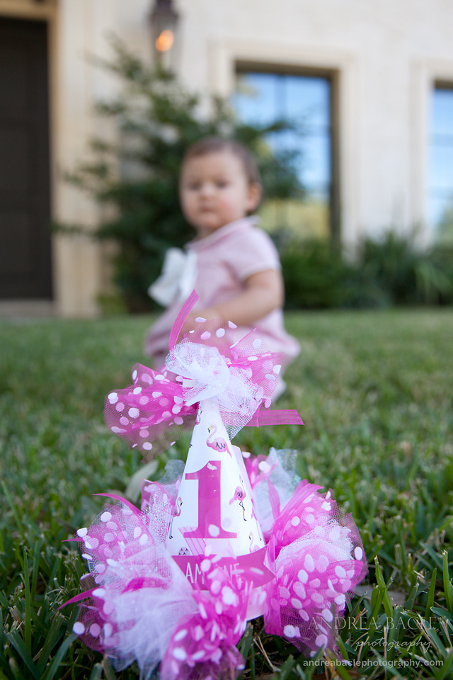 blog-post-one-year-old-flamingo-party-hat