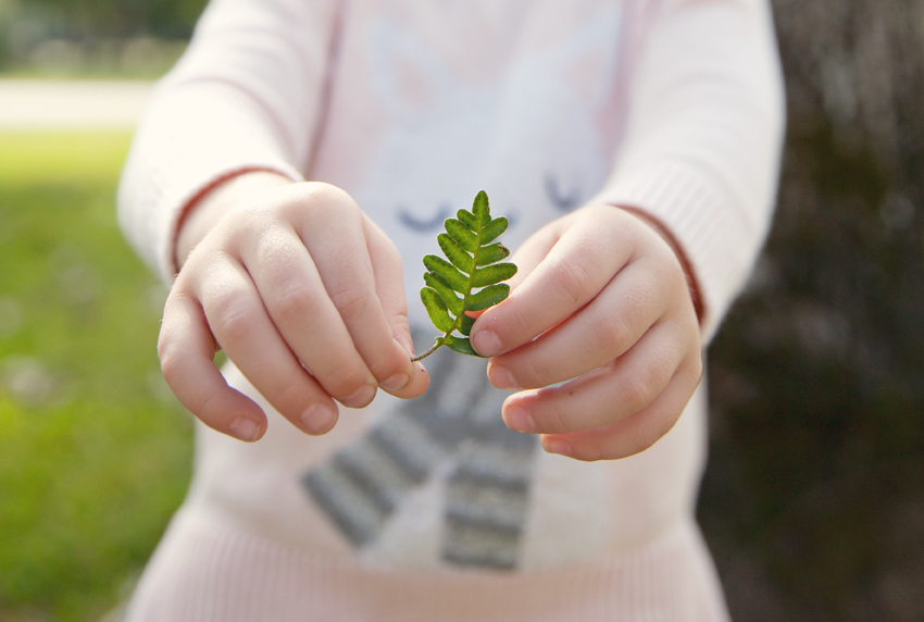 blog-preschooler-little-fern