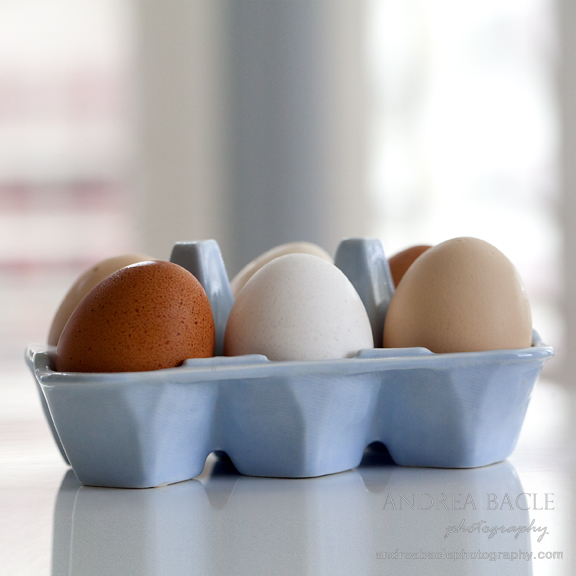 blog post eggs