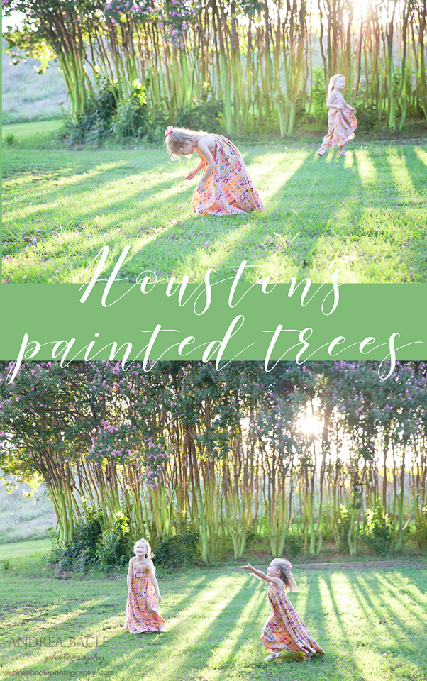 houston's painted trees 2018